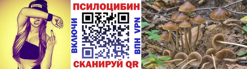 Псилоцибиновые грибы Psilocybe  Бородино 